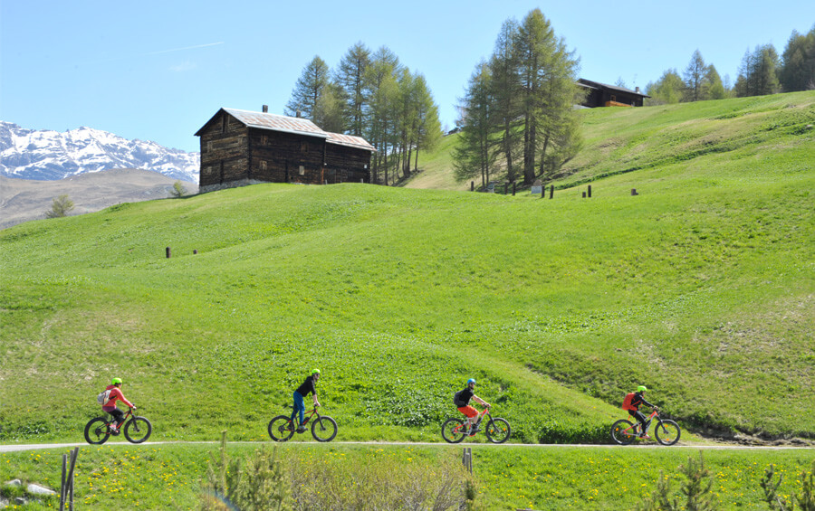 noleggio bici livigno guida completa 4 amici che pedalano