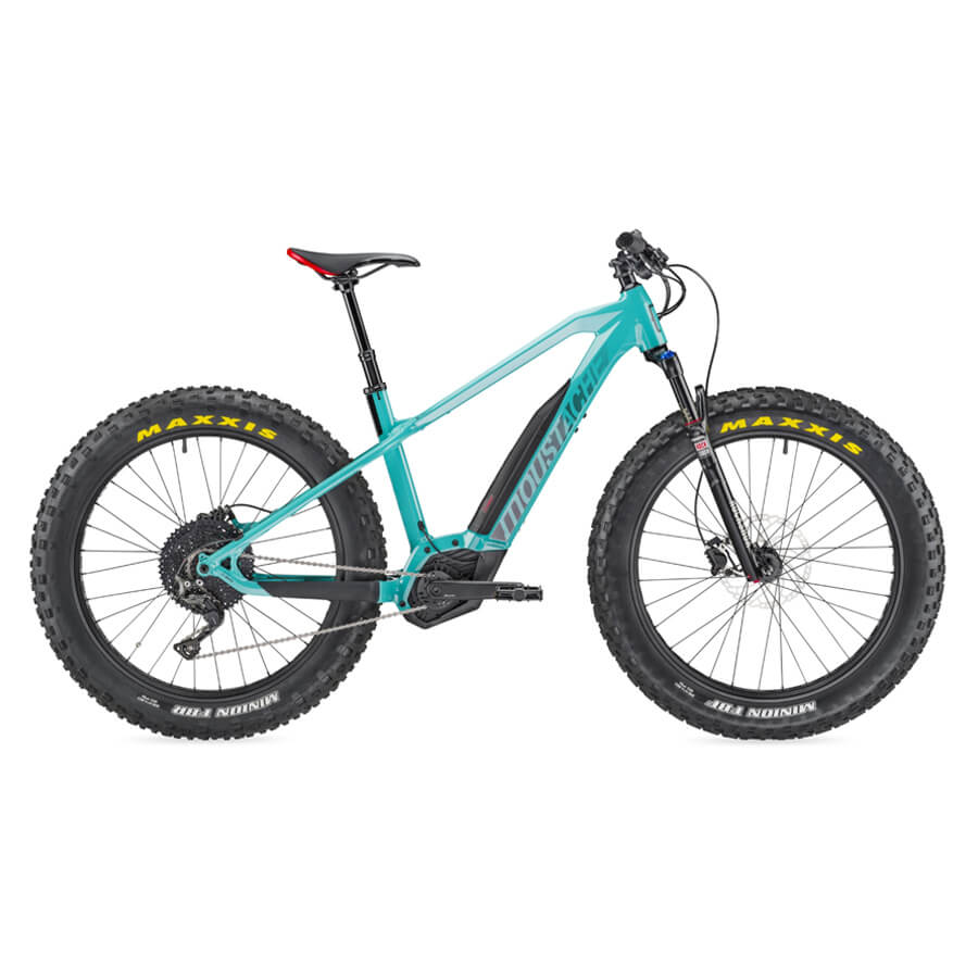 Fat bike for rent